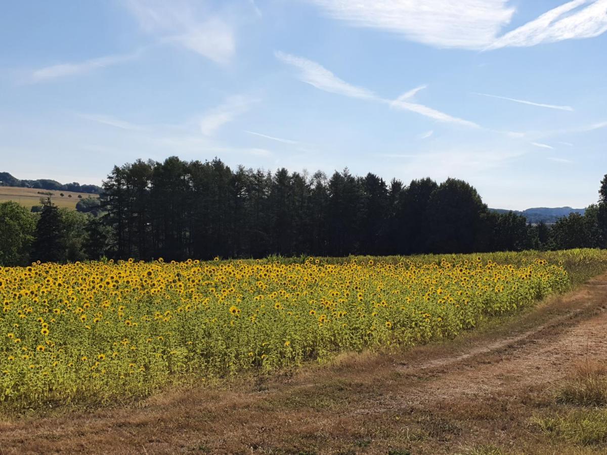 Ferienwohnung Im Siebengebirge Naehe Koeln/Bonn Koenigswinter Luaran gambar